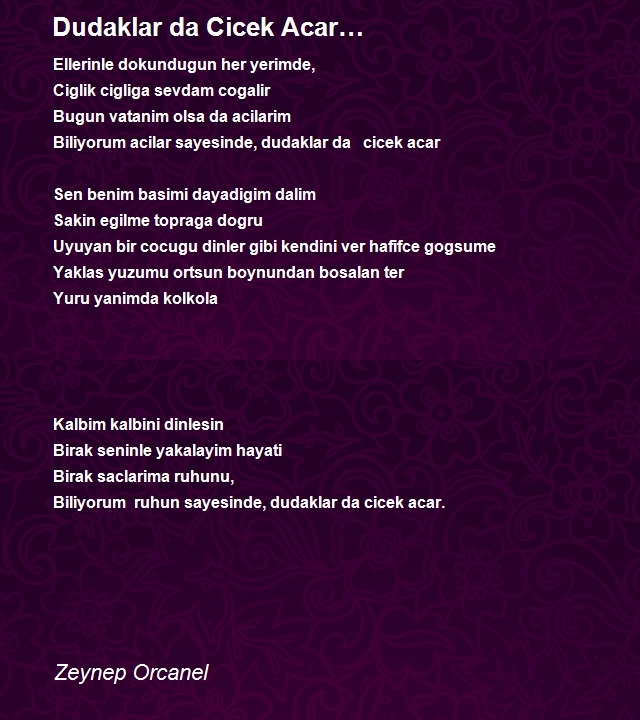 Zeynep Orcanel