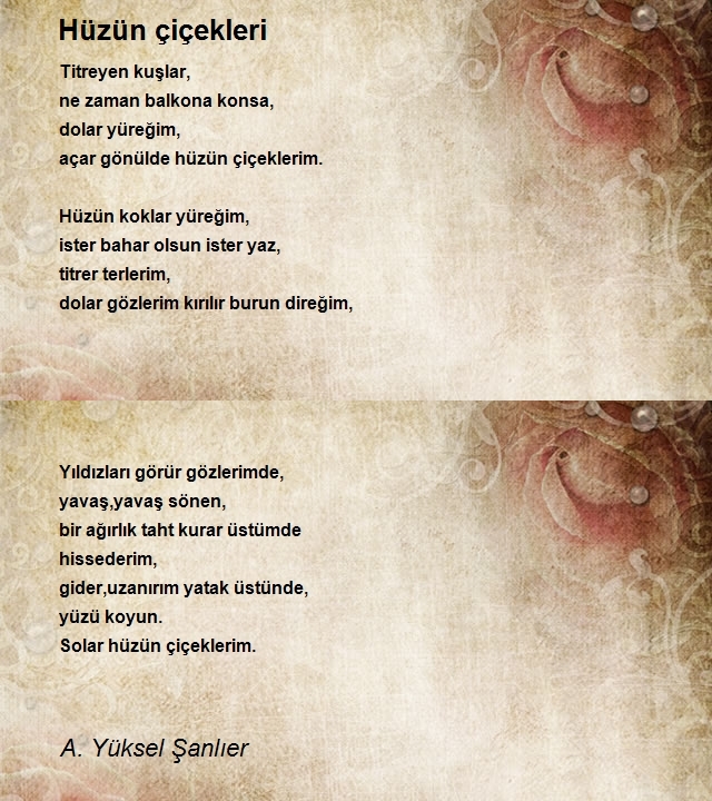 A. Yüksel Şanlıer