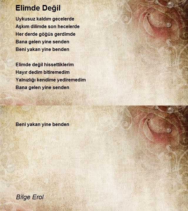 Bilge Erol