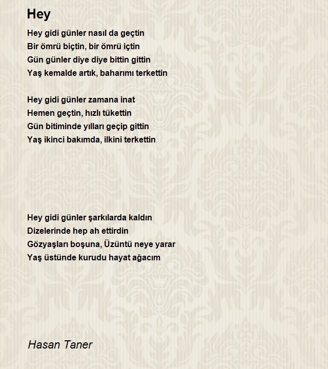 Hasan Taner