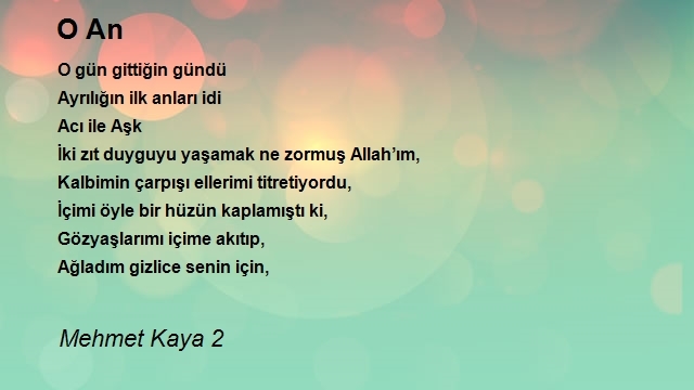 Mehmet Kaya 2