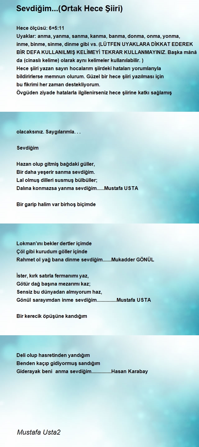 Mustafa Usta2