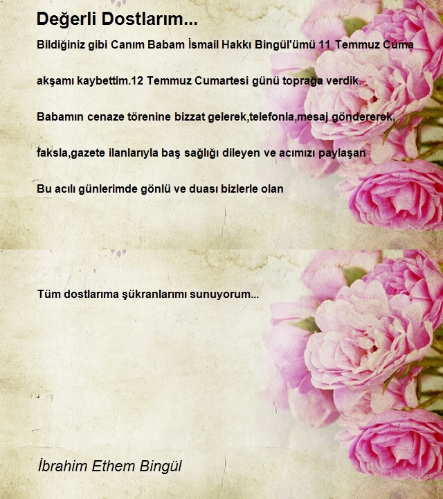 İbrahim Ethem Bingül