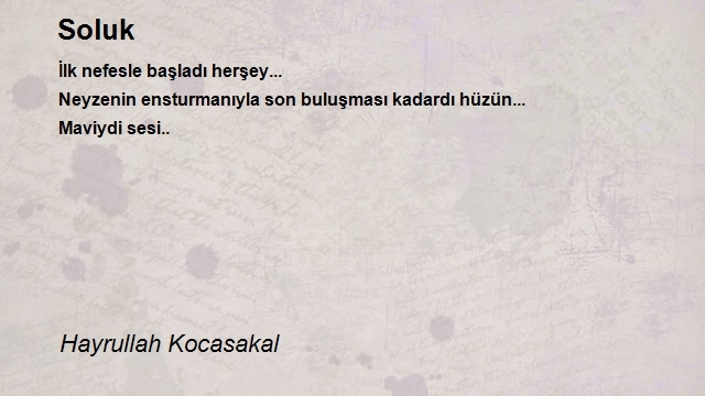 Hayrullah Kocasakal