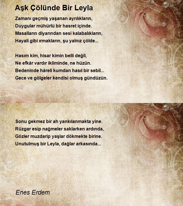 Enes Erdem