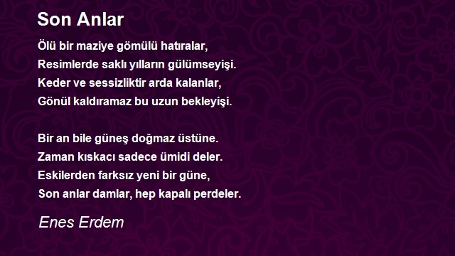 Enes Erdem