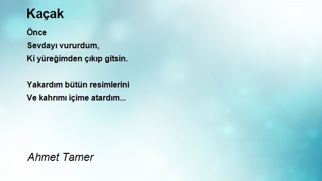 Ahmet Tamer