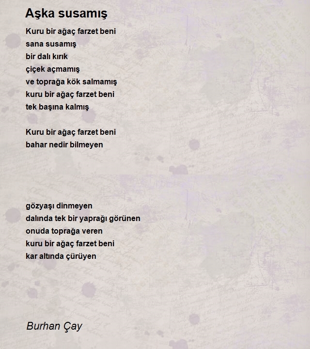 Burhan Çay