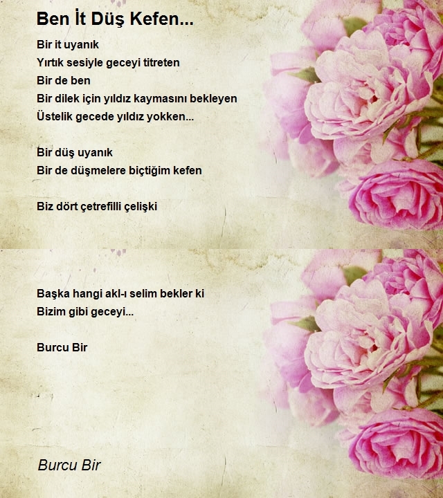 Burcu Bir