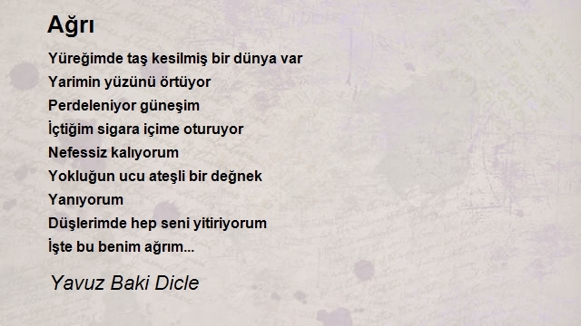 Yavuz Baki Dicle