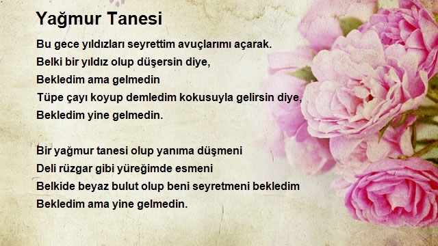 Ahmet Tosun