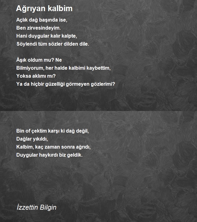 İzzettin Bilgin 