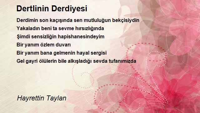 Hayrettin Taylan