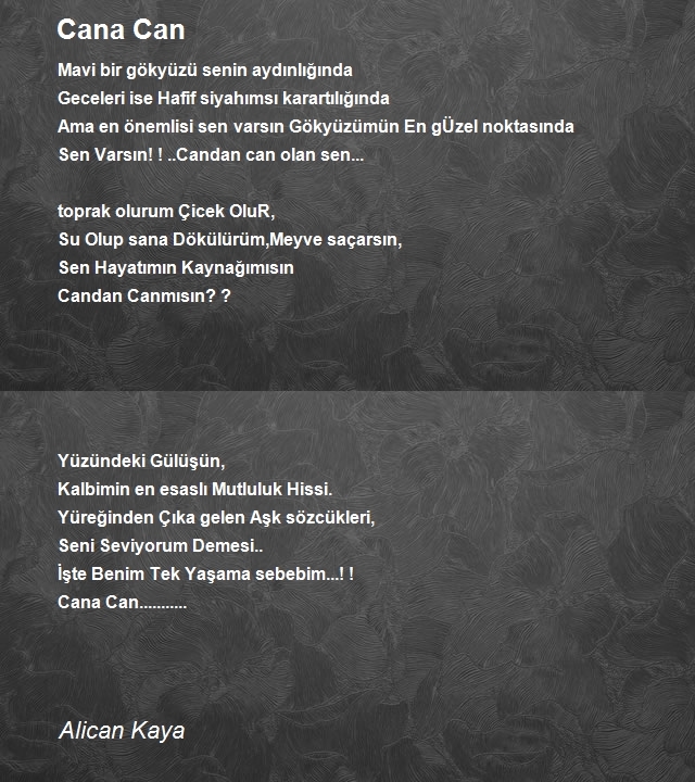 Alican Kaya