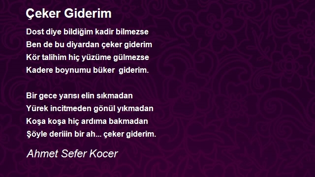 Ahmet Sefer Kocer