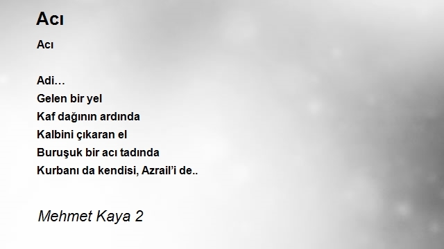 Mehmet Kaya 2