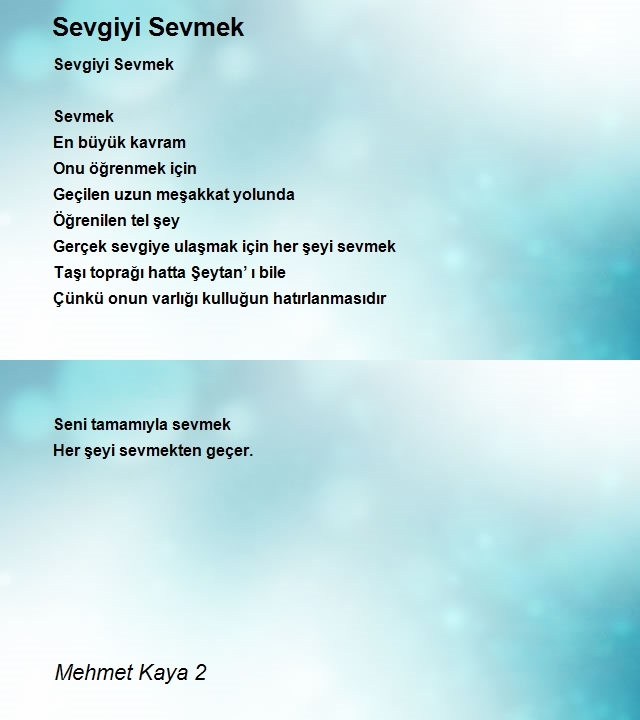 Mehmet Kaya 2