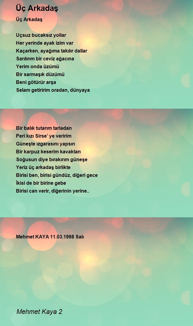 Mehmet Kaya 2