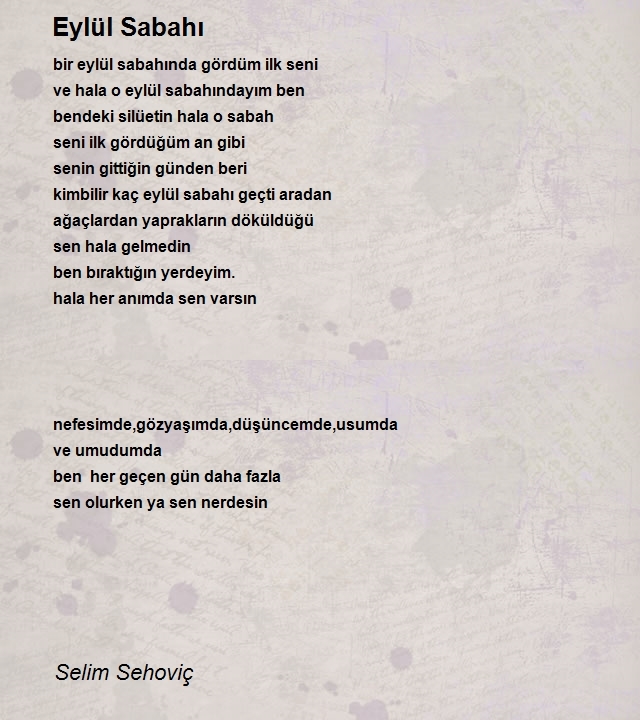 Selim Sehoviç