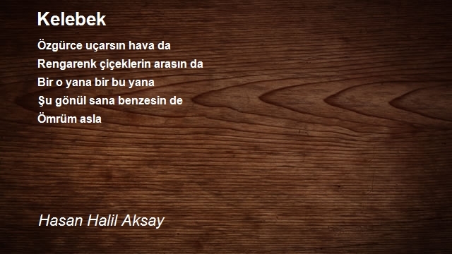 Hasan Halil Aksay