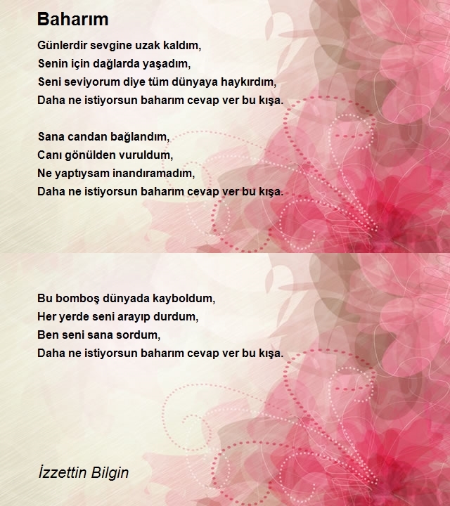 İzzettin Bilgin 