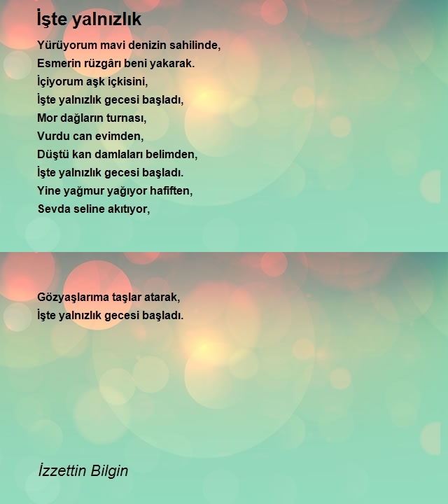 İzzettin Bilgin 