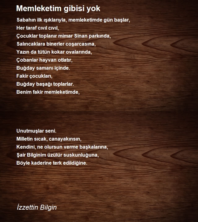 İzzettin Bilgin 