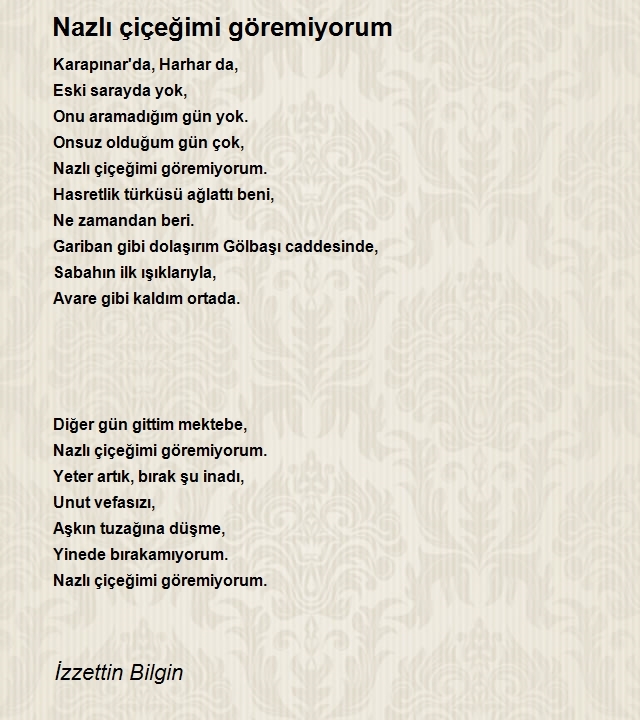 İzzettin Bilgin 