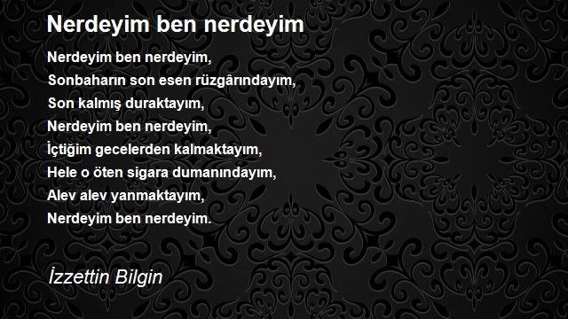 İzzettin Bilgin 