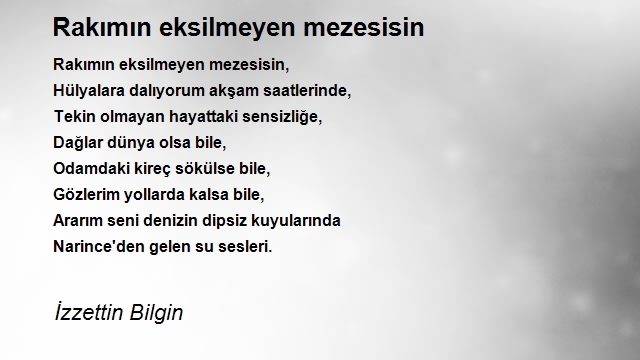 İzzettin Bilgin 