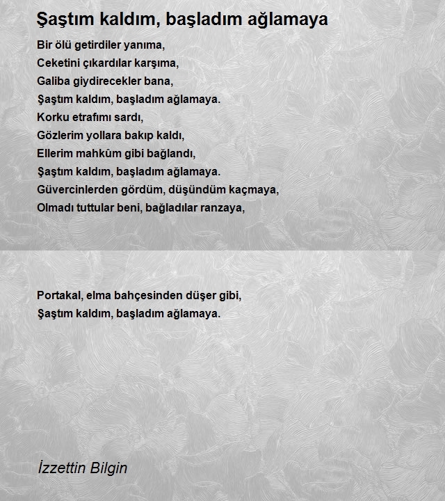 İzzettin Bilgin 