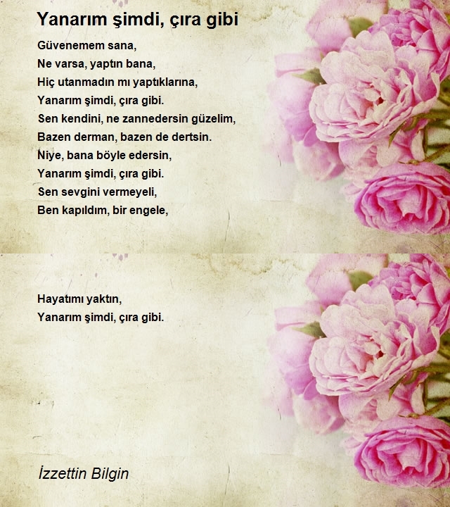 İzzettin Bilgin 