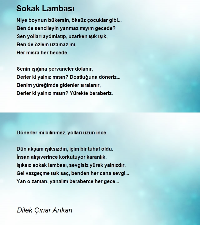 Dilek Çınar Arıkan