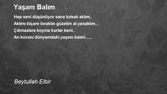 Beytullah Elbir