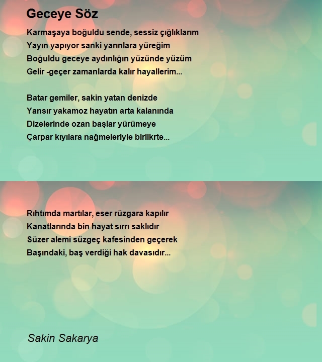 Sakin Sakarya