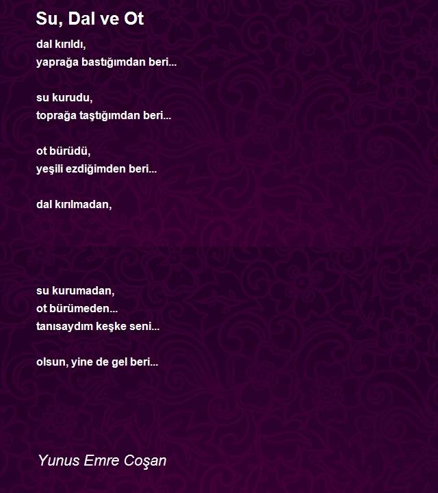 Yunus Emre Coşan