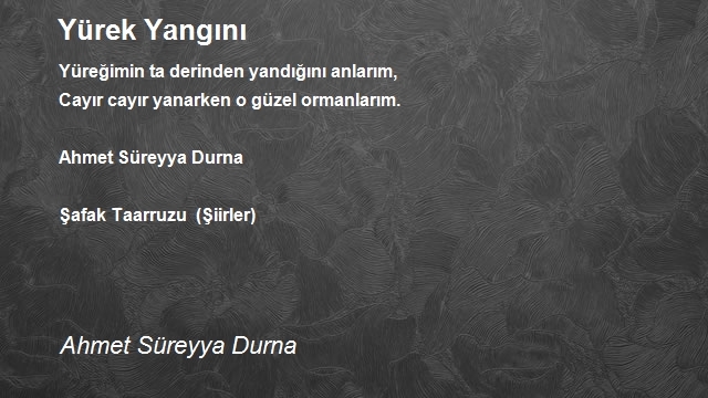 Ahmet Süreyya Durna