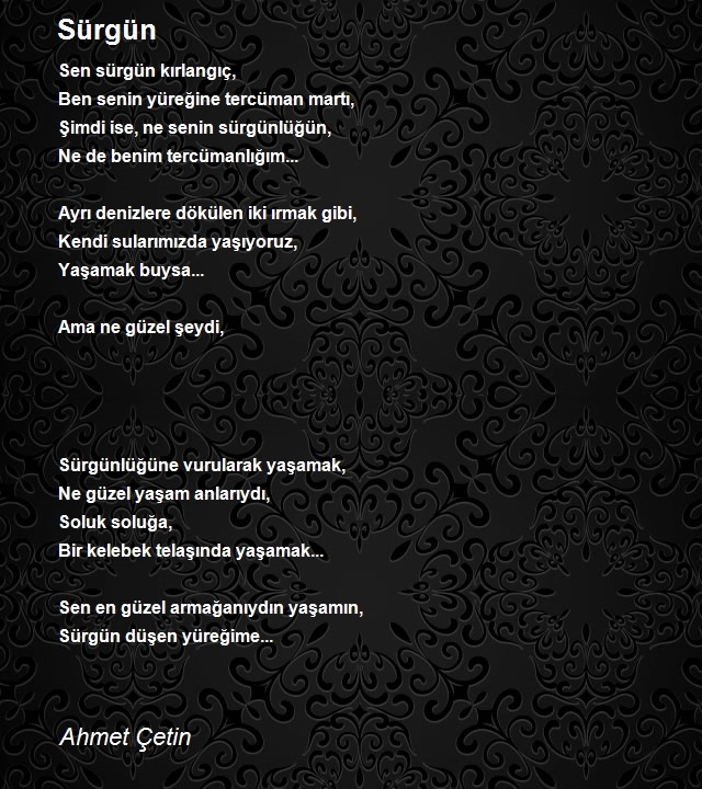 Ahmet Çetin