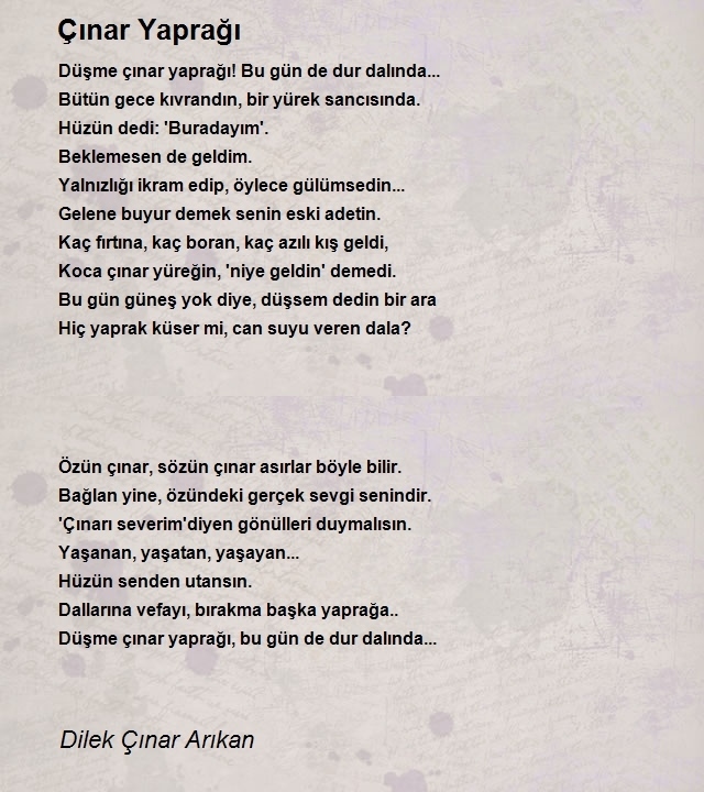 Dilek Çınar Arıkan