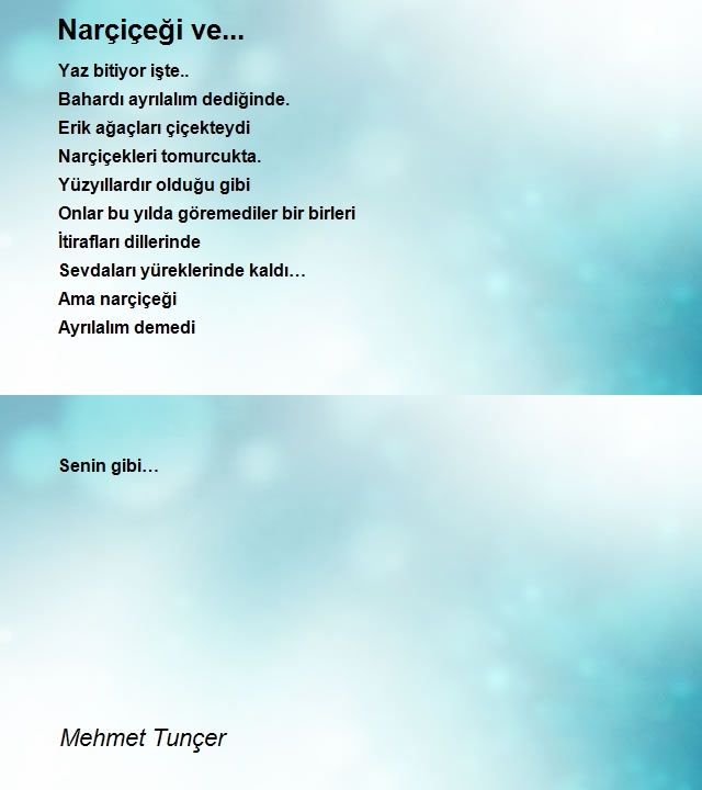 Mehmet Tunçer