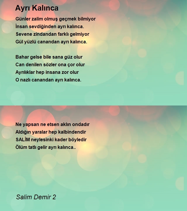 Salim Demir 2