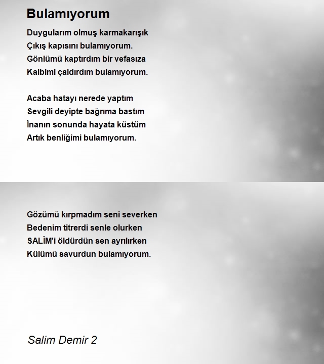 Salim Demir 2