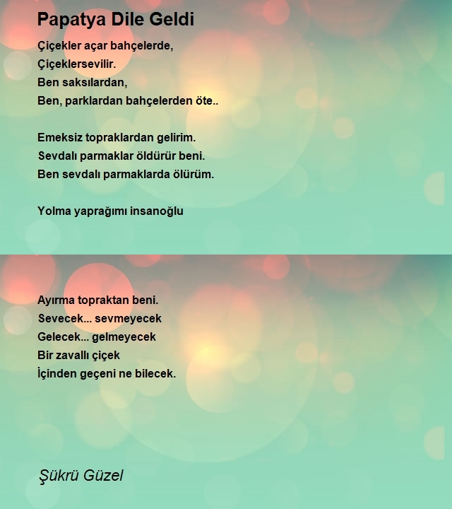 Şükrü Güzel