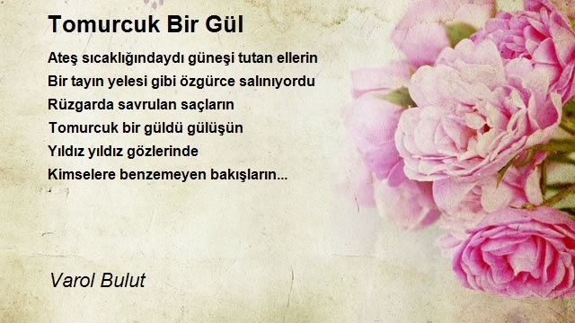 Varol Bulut