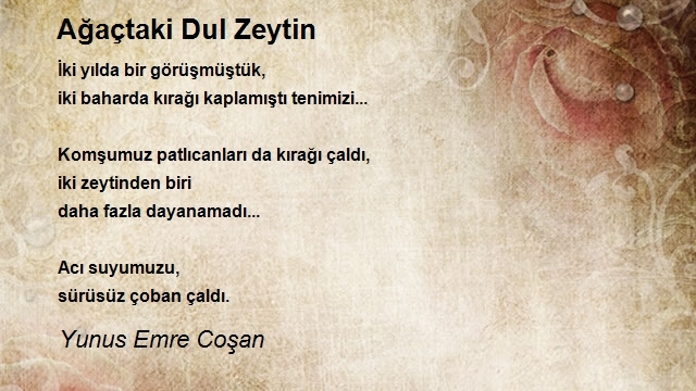 Yunus Emre Coşan