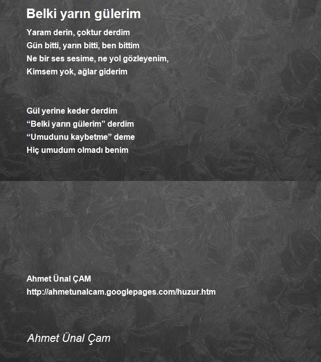 Ahmet Ünal Çam