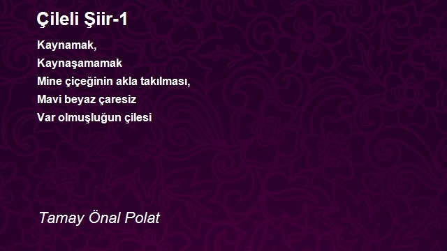 Tamay Önal Polat