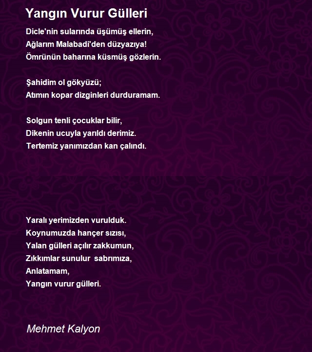 Mehmet Kalyon