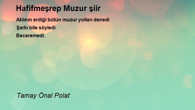 Tamay Önal Polat