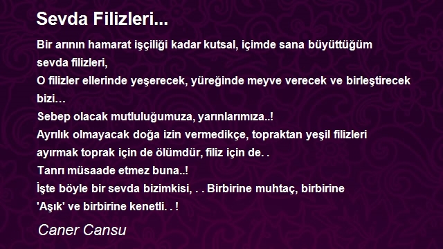 Caner Cansu